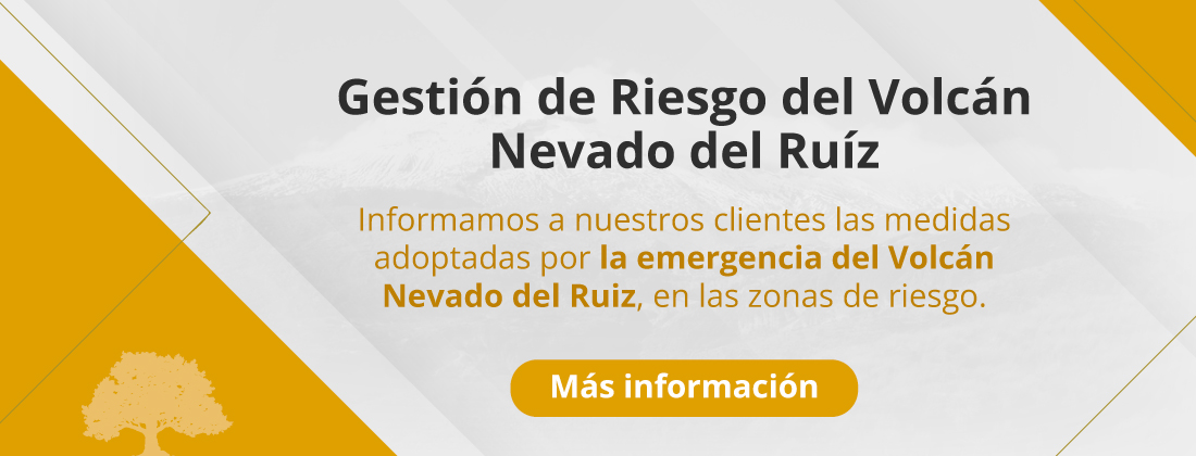 Gestión de Riesgo del Volcán Nevado del Ruíz