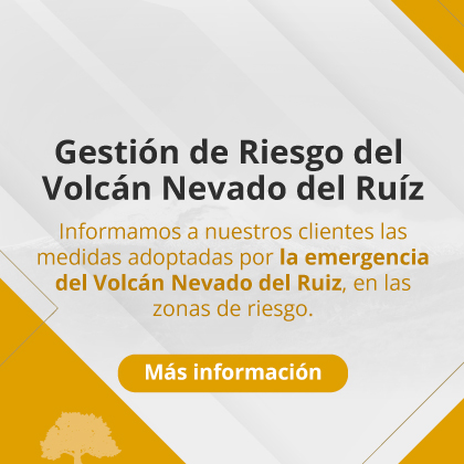 Gestión de Riesgo del Volcán Nevado del Ruíz